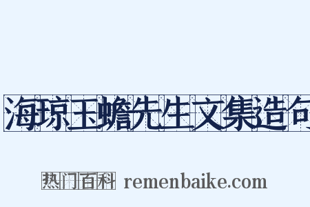 海琼玉蟾先生文集造句是什么意思的图片